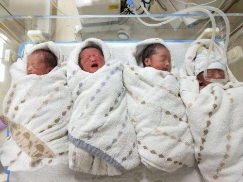 女子罕见生下龙凤四胞胎：最轻只有2.7斤