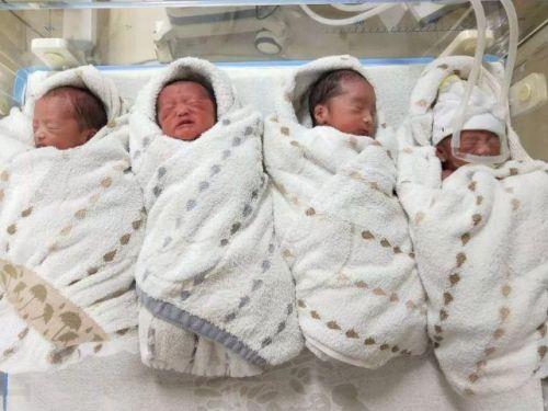 女子罕见生下龙凤四胞胎：最轻只有2.7斤