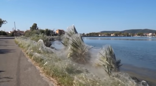 希腊一城市出现绵延300多米的巨型蜘蛛网：专家出面解释