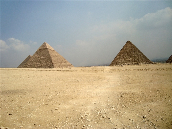 埃及金字塔内挖掘出一批新木乃伊：为猫和甲虫