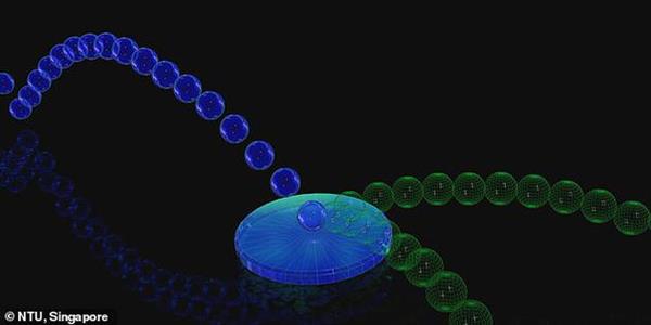科学家发明了一台能“预测多个未来”的量子计算机