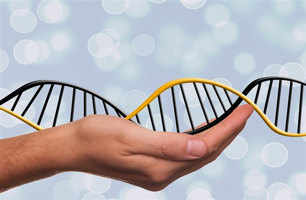 科学家发现DNA中寿命时钟：人类自然寿命是38岁