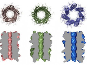 英科学家首次设计制造人工蛋白质分子