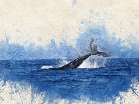第一只会说话的虎鲸掌握人类语言：科学家惊喜