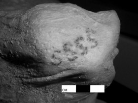 科学家用红外线扫描5000年埃及木乃伊：竟有纹身