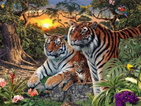 “烧脑”题难坏老外：图中到底有几只老虎？