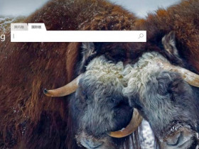 微软宣布面向中国用户推出国际版Bing搜索引擎!开放API接口