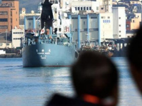 日本南极“科研”捕鲸惹众怒：美澳等33国联合出手