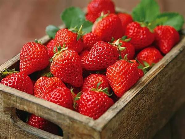 草莓居然是最脏的水果？还致癌？