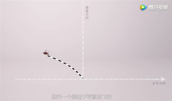 慢镜头探秘苍蝇飞行轨迹 教你轻松徒手捕捉